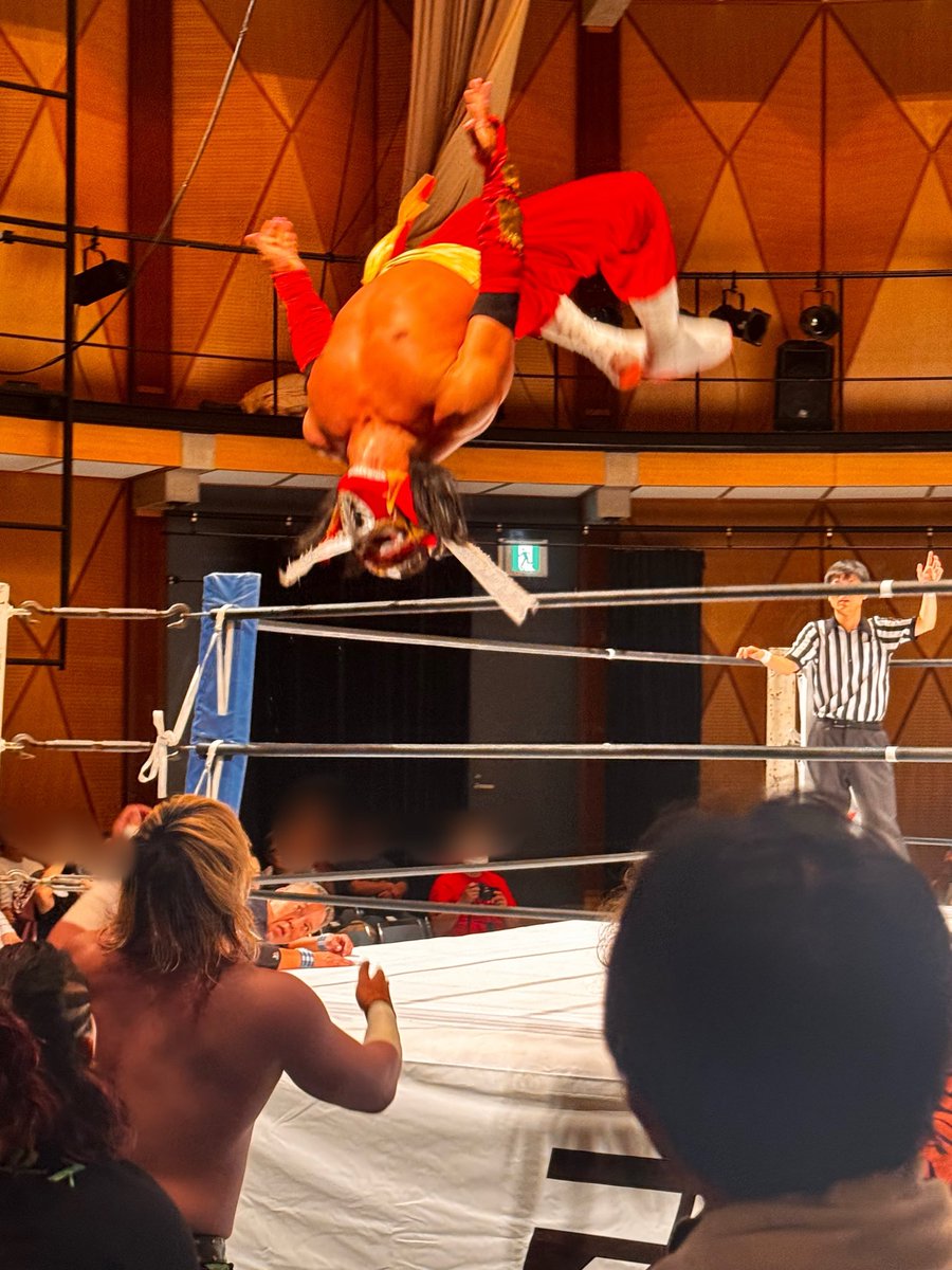 yyy91821's tweet image. ハヤブサを観ることが出来るとは…😭
#ハヤブサ
#pwzero1
#天下一ジュニア2025