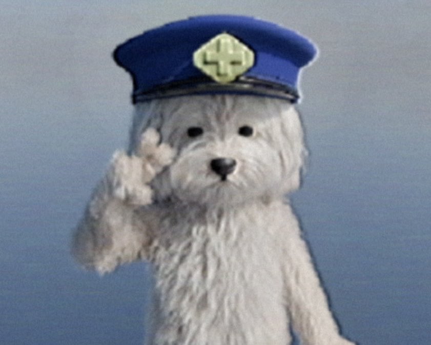 inu_oa's tweet image. ﾎﾟﾘｽﾋﾟｰｽ