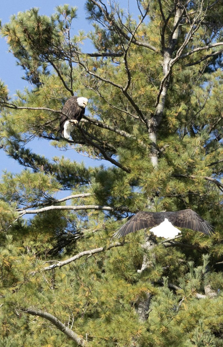 LHCC Grounds tweet media