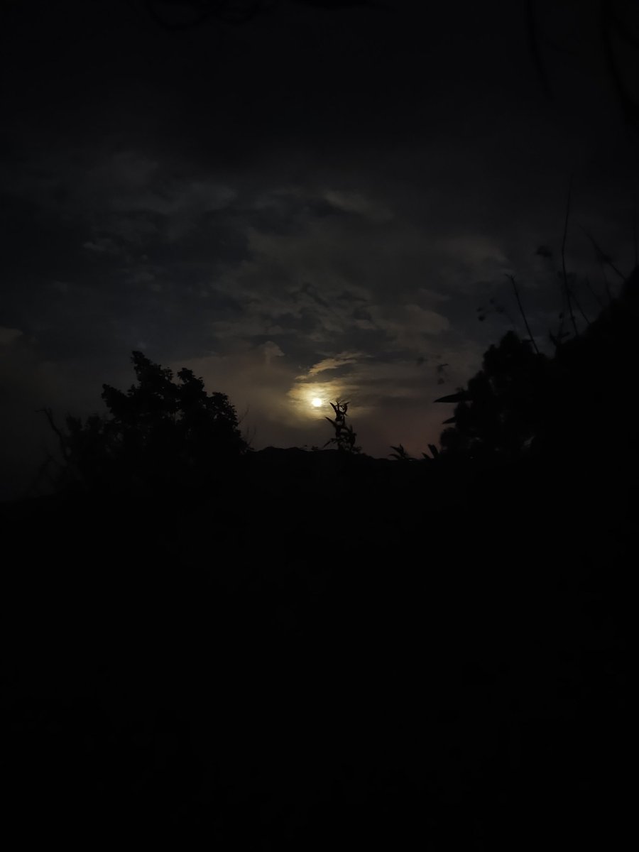 itzappie__001's tweet image. चांद...चंद पलों का ! 
#FULLMOON #Moonflowerweek2025 #Selenophile 🍂