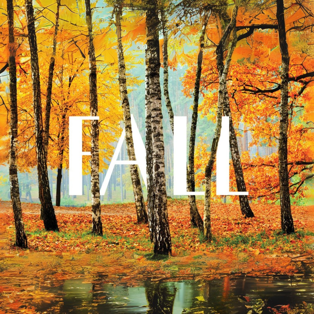 theDSGal's tweet image. 🍁Just like fall reminds us to slow down &amp;amp; enjoy the little things 🍂 it’s the perfect time to rethink your social media strategy. 🙃
#fallvibes #cozycontent #contentcreation #onlinepresence #smile #bekind #beagoodneighbor #digitalstrategygal #workhardbekind #theDSGal