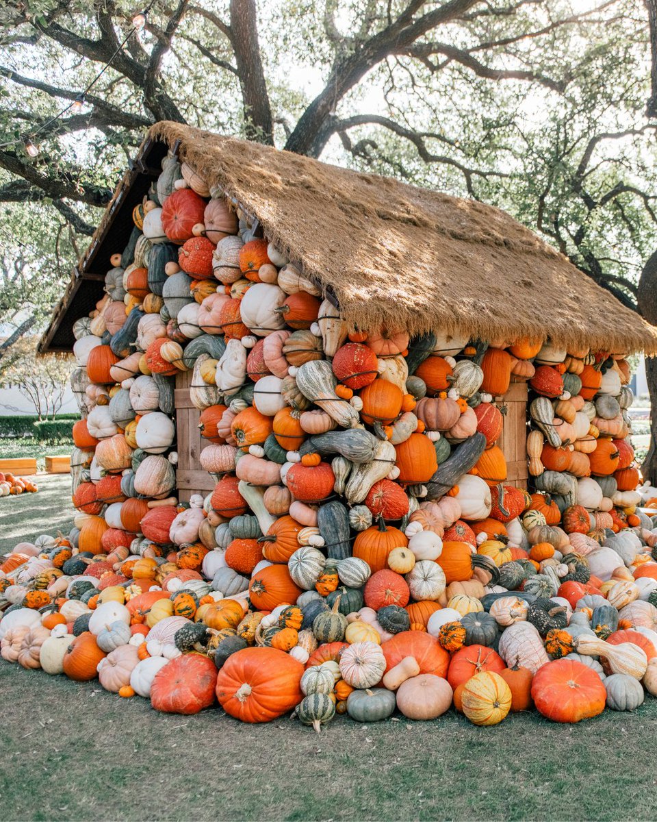 visit_dallas's tweet image. 🎃 Fall magic has arrived at NorthPark Center! From October 1–November 2, the NorthPark Pumpkin Patch is back in CenterPark Garden. Free and open to the public until Nov. 2! 🍁

#NorthParkCenter #DallasFallFun #PumpkinPatch