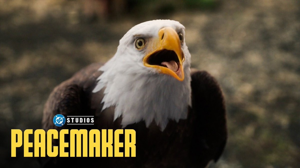 TalkMuch? tweet media