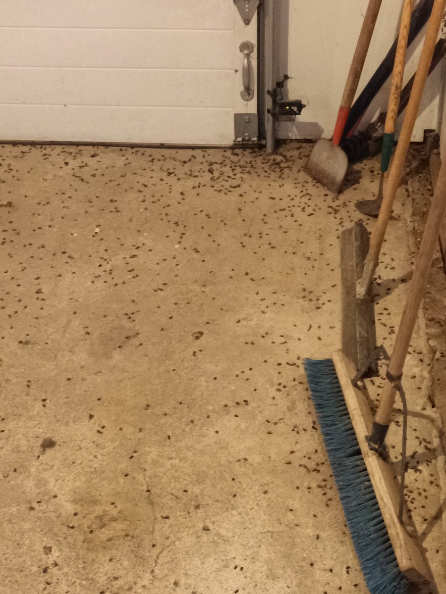 Kelsey Solick tweet media