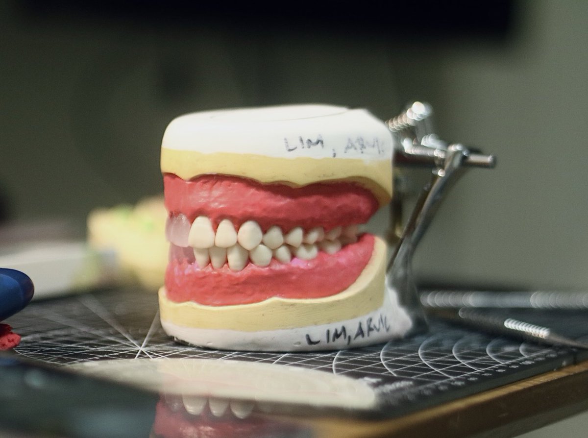 GRRTHY 🐻🌲🦷 tweet media