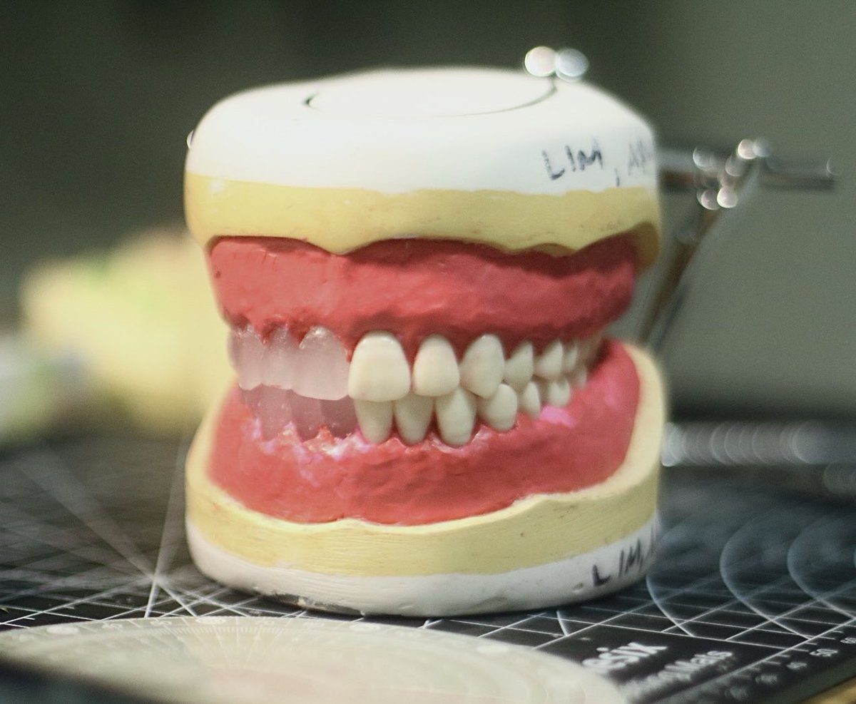 GRRTHY 🐻🌲🦷 tweet media