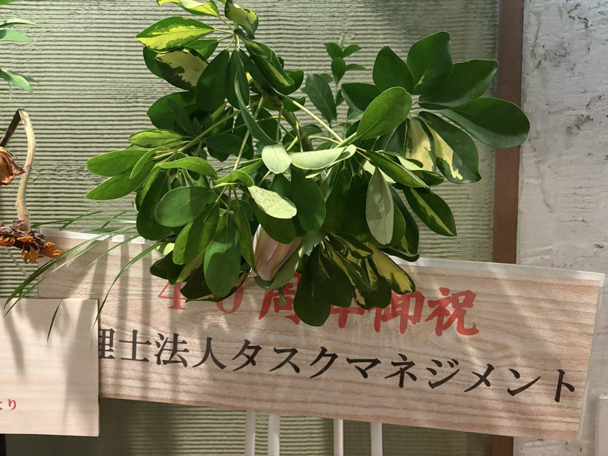 ijyuoya's tweet image. 今日は40周年記念のお寿司屋さんで会合。いつもありがたい。こんな日もある。明日は早朝から東京へ契約と現地調査。#不動産投資