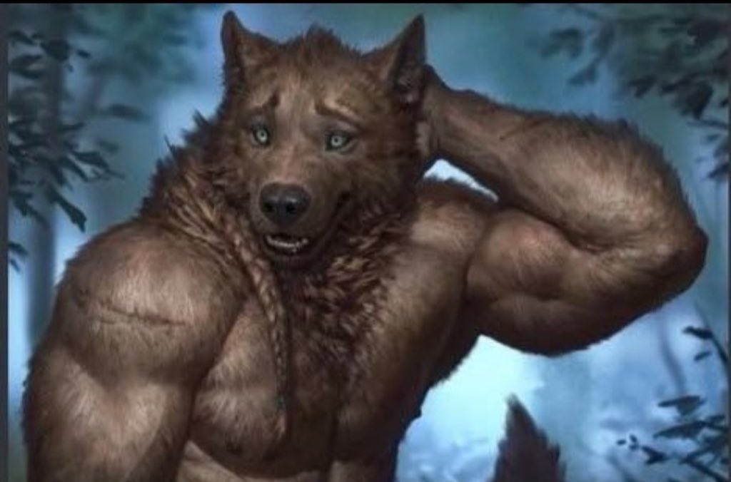 minalamafia's tweet image. mec devant moi à la caisse qui essaye de me draguer :« c’est tes courses pour ce soir ? tu veux que je vienne t’aider à cuisiner ? »
les courses en question : des croquettes pour chat et de l’ail surgelé … aze aze miaou