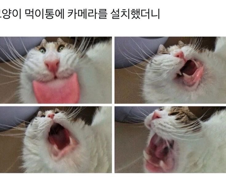 챱 (@lovx11_very) on Twitter photo 