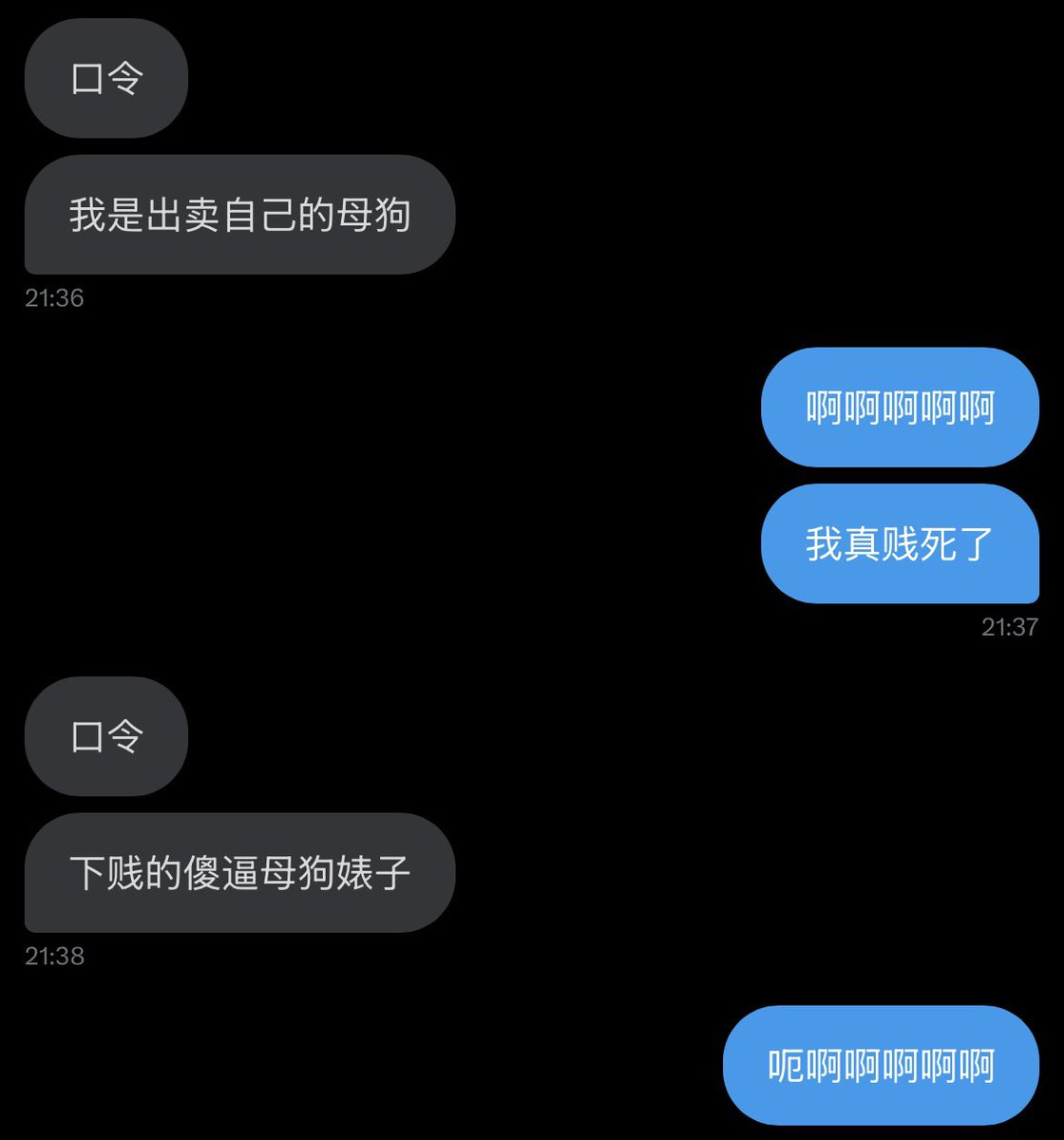 媒体预览