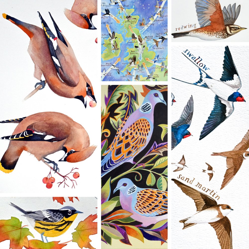 JaneSunflower's tweet photo. On #WorldMigratoryBirdDay it's incredible to think of the epic journeys the #birds make twice a year!
UK #birders, seen a #redwing yet?
#Paintings by me & more here: https://t.co/12bcszI67A
#BirdMigration #ornithology #autumnmigration #birding #autumn https://t.co/Xr3Ycs49d4