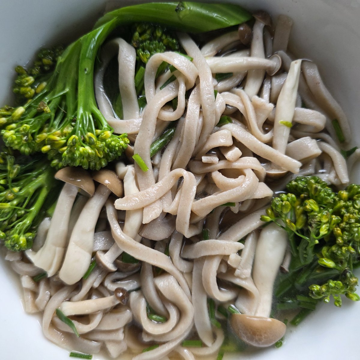 Did you know that buckwheat is a complete protein, with all nine essential amino acids? These sourdough soba noodles are a partly fermented take on traditional Japanese buckwheat noodles, using sourdough starter for enhanced flavor and digestibility: b7p.org/ijKs9