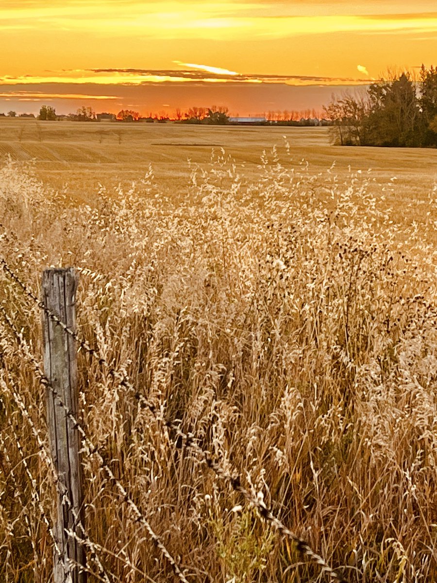 Roblaird681344's tweet image. Saturday morning sunrise on Gladys Ridge Alberta Canada 🌅😀☕️🇨🇦