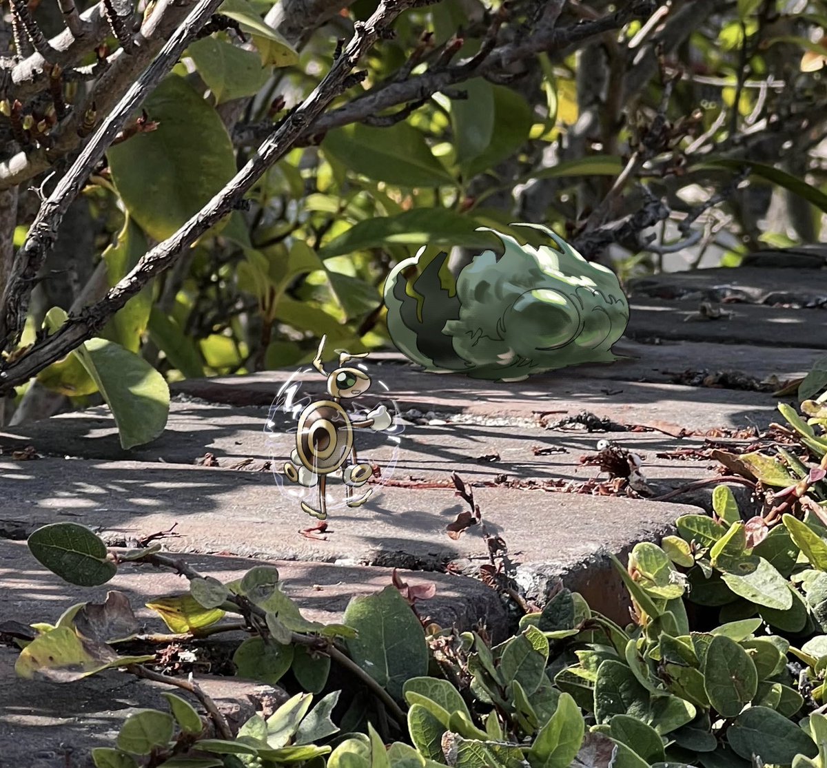 WallaceMomon's tweet photo. Exploring with your pokemon vibes https://t.co/515Zs2Pyji