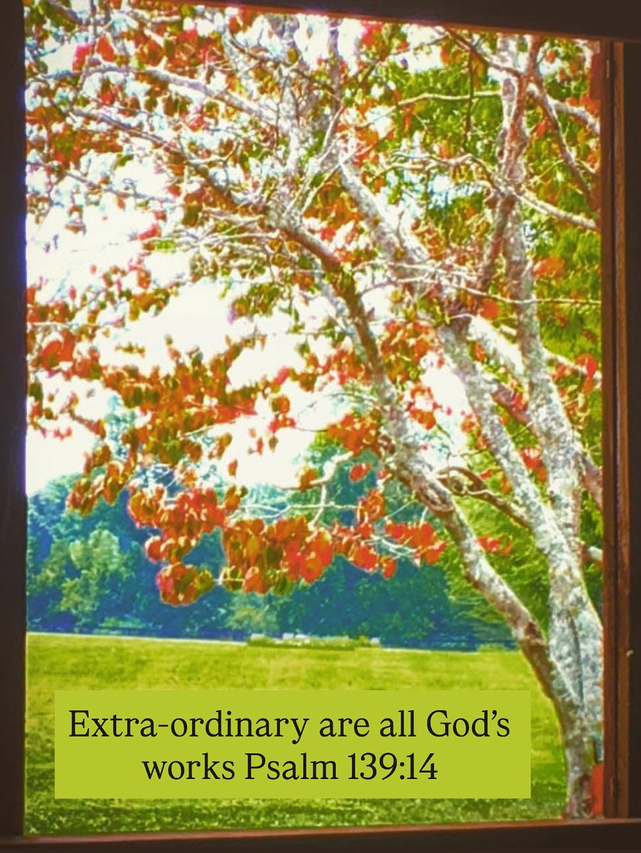 nowprayingnash's tweet image. Have a Good Saturday 

#goodsaturday #saturday #saturdayvibes #saturdaymood #saturdaymorning #WeekendVibes #WeekendMood