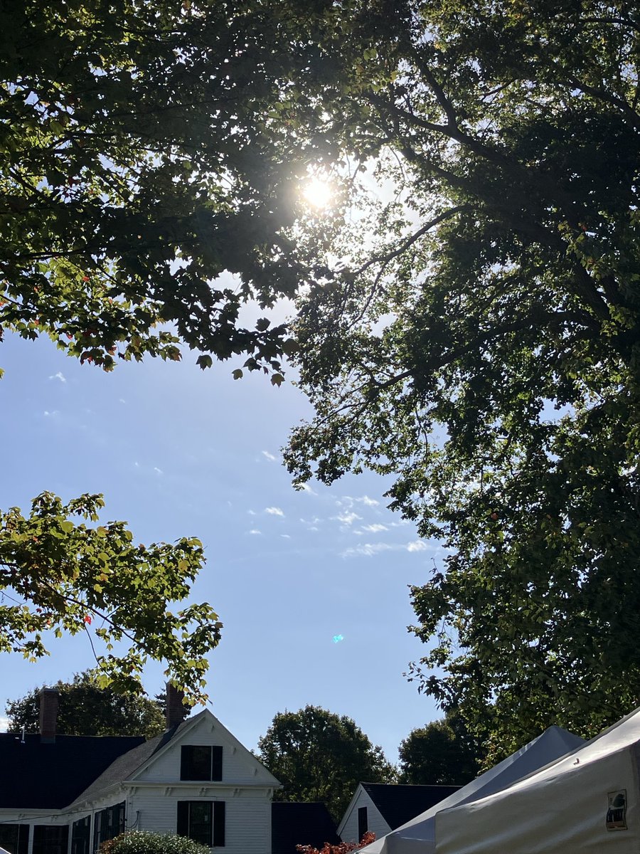 Suns out in Sandwich!! We’re here at the library until 4!