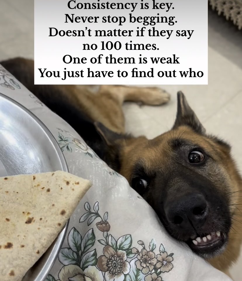 R.G. Ryan (@rgryan777) on Twitter photo 