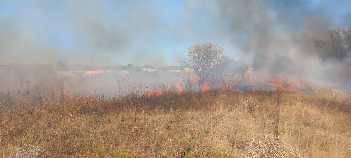 PompiersHerault's tweet image. #Incendie|| PAULHAN 
Nous intervenons Lieu dit Negadis pour un feu 🔥 de végétation basse suite à un brûlage qui a échappé Nous vous rappelons que le beau temps favorise des propagations faciles Il convient  d&apos;observer une grande prudence ⚠️ dans l&apos;emploi du feu #InfoFlash