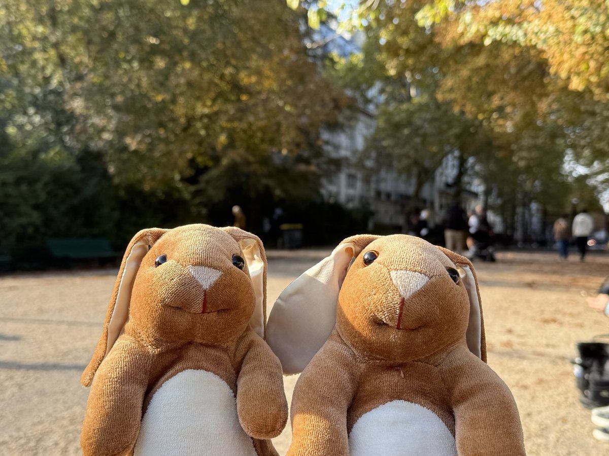 Thump_Bolt's tweet photo. Bonjour … guess where we are … https://t.co/aXrH8o8dSj