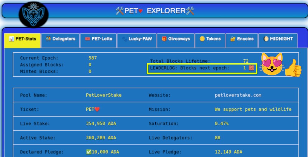 PetStake's tweet image. GM, pet lovers in #CardanoCommunity 😻
Are we still alive?📈🩸🩸🩸😹

1⃣ PET-Block is scheduled for next epoch 588🍀

Looking for small pools to support?
Consider #StakeWithPET🐾 #Cardano #ADA