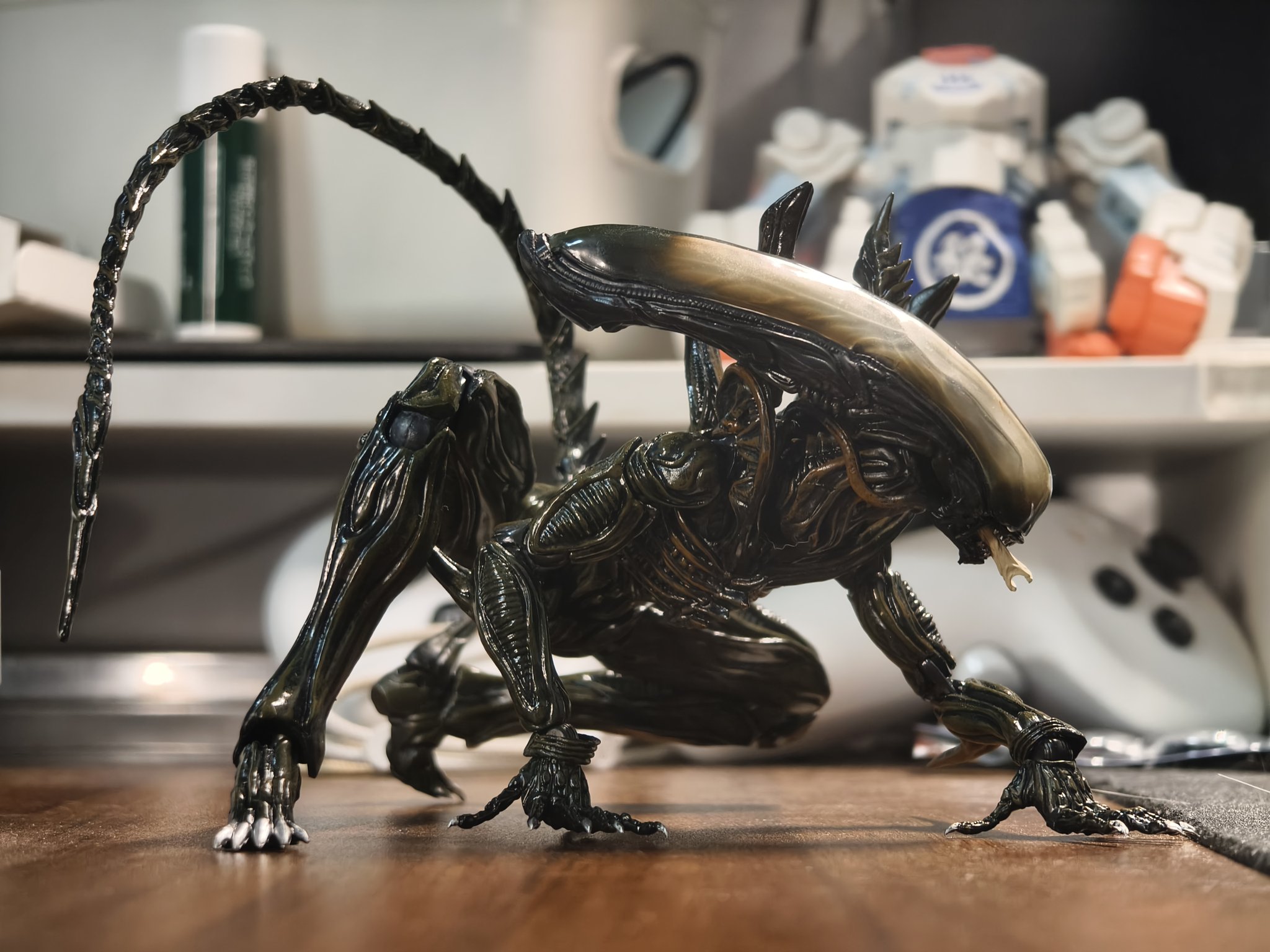 ☆美品　Monsta Box2020　6'1 タワーレコード渋谷店 on X: 