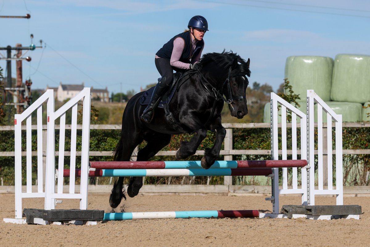 Gsxr1000UKKO's tweet image. Wife and Daughter had a good lesson this morning... #horse #pony #training