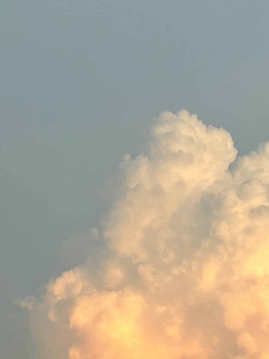 🧸𝐚𝐥𝐥 𝐣𝐨𝐮𝐫𝐧𝐞𝐲𝘩.𝐬𝐞𝐜𝐫𝐞𝐭 𐙚 tweet media