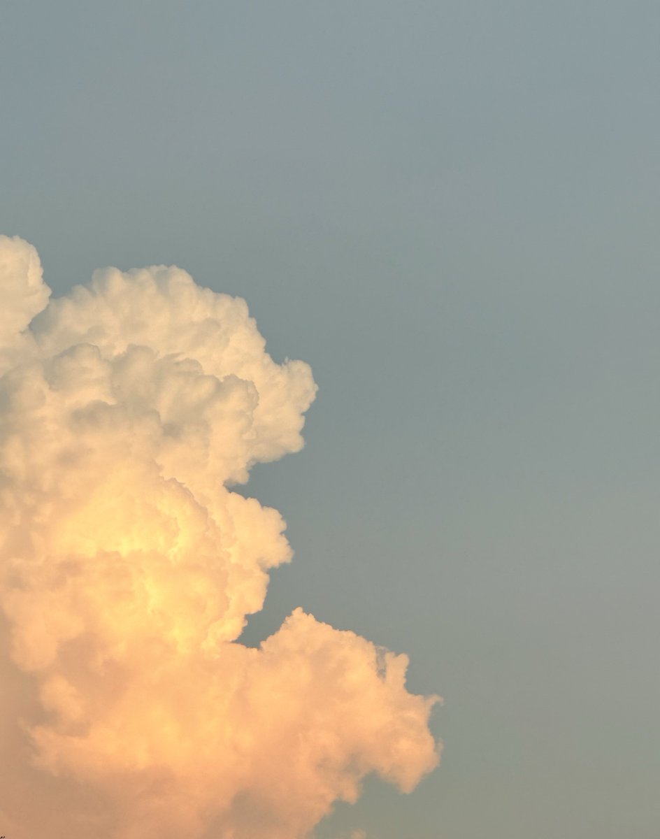 🧸𝐚𝐥𝐥 𝐣𝐨𝐮𝐫𝐧𝐞𝐲𝘩.𝐬𝐞𝐜𝐫𝐞𝐭 𐙚 tweet media