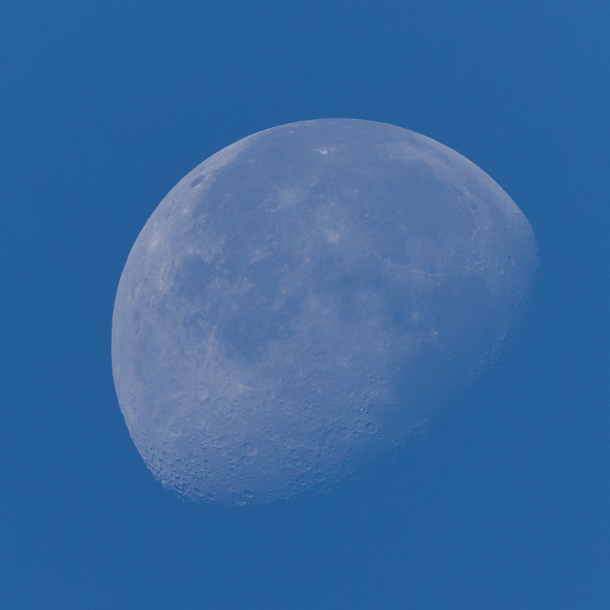 swaninga_fotos's tweet image. Der Mond heute früh 🌜#moon #photography