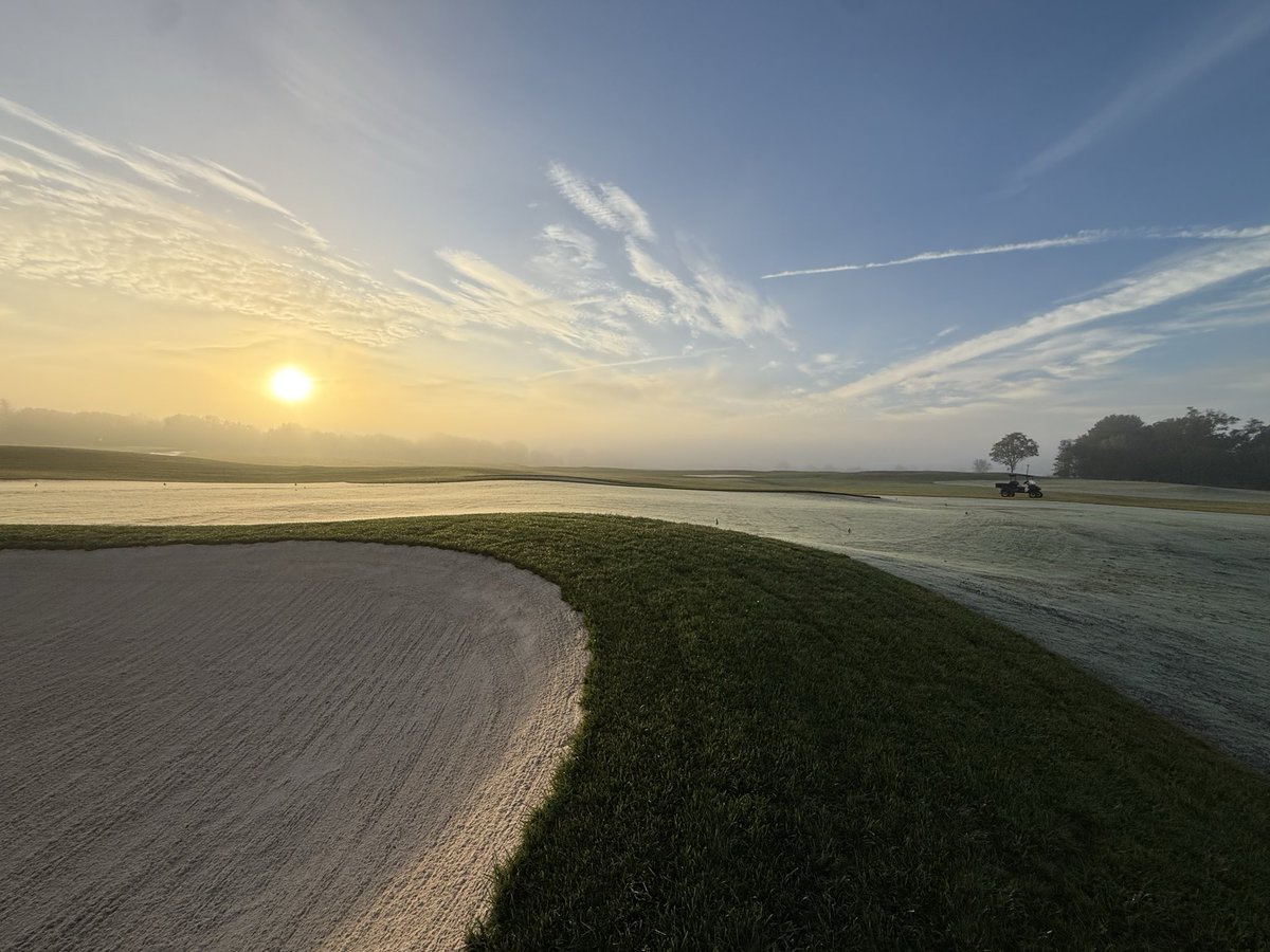 Bill Irving tweet media