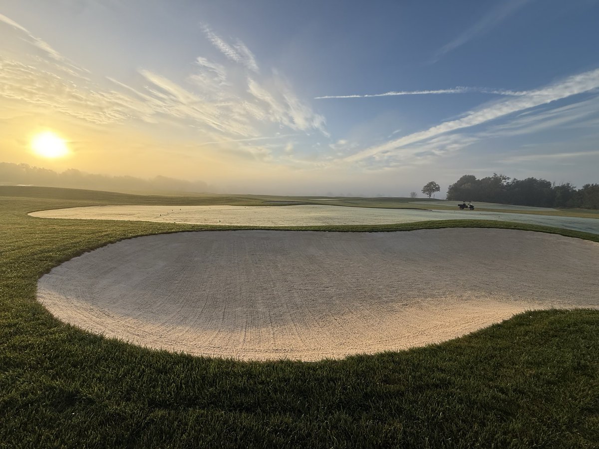 Bill Irving tweet media