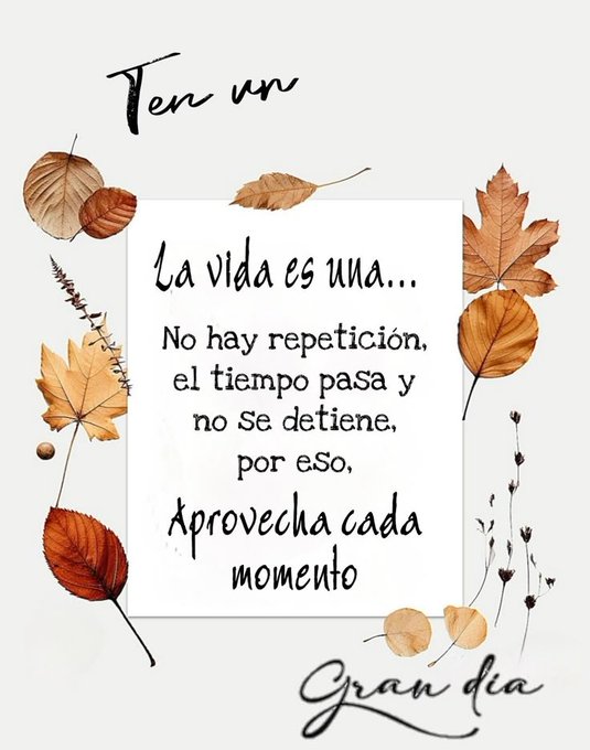 White square frame with beige and orange autumn leaves and stems surrounding it. Inside the frame, black text reads Ten un buen día at the top, La vida es única... No hay repetición, el tiempo pasa y no se detiene, por lo eso, aprovecha cada momento in the middle, and Buenos días at the bottom. Additional small orange leaves and nuts are scattered around the edges.