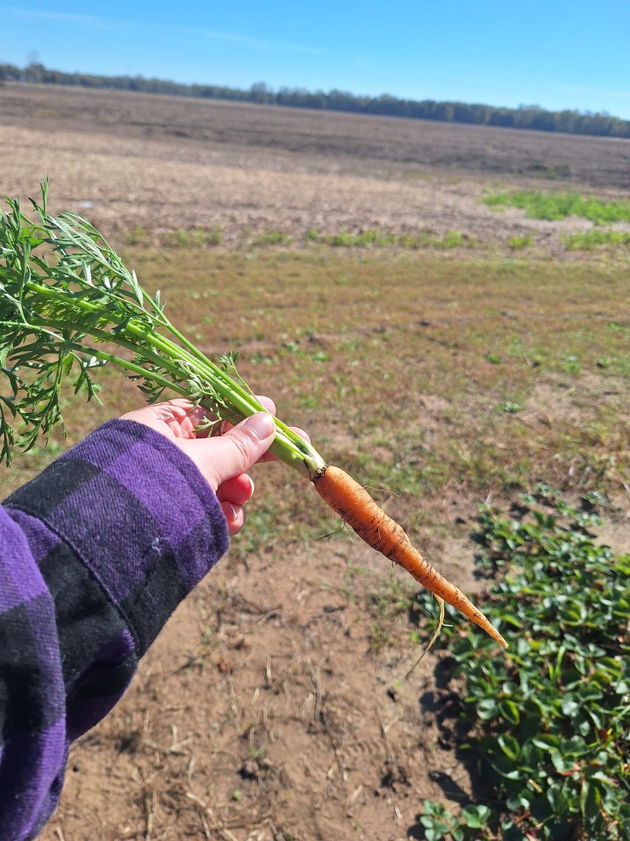 Katielu💜 tweet media