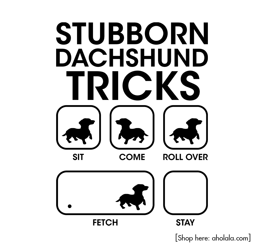 dachshund_inc's tweet image. Stubborn Dachshund Tricks 😍🐾
=Grab here: aholala.com/stubborn-dachs…
#dachshund