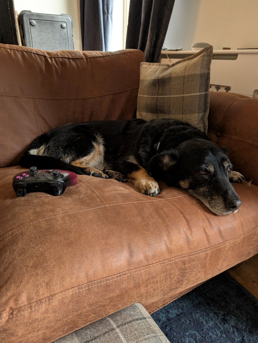 Rolo is waiting to play BF6