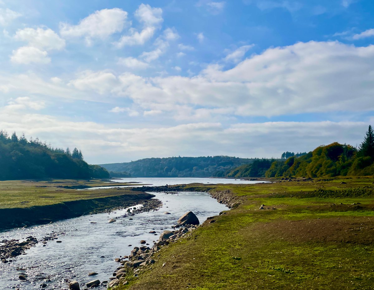 EA Fisheries - Devon and Cornwall tweet media