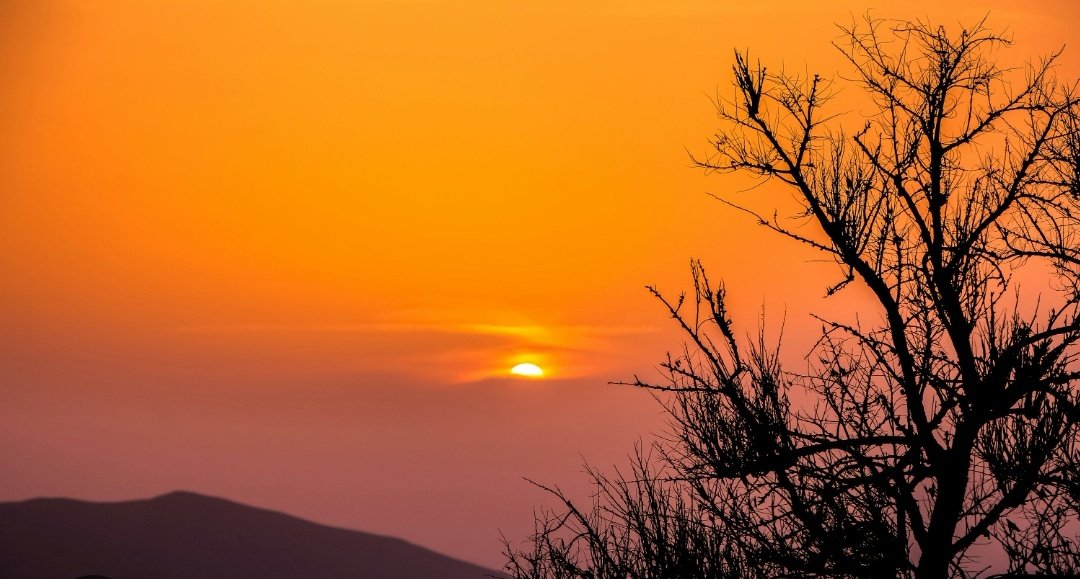 Mandeep77752's tweet image. The sky dims, the noise fades, and suddenly… the quiet feels like peace. Here&apos;s to calm evenings and soft resets. 🌙✨ #EveningThoughts #PeacefulMind