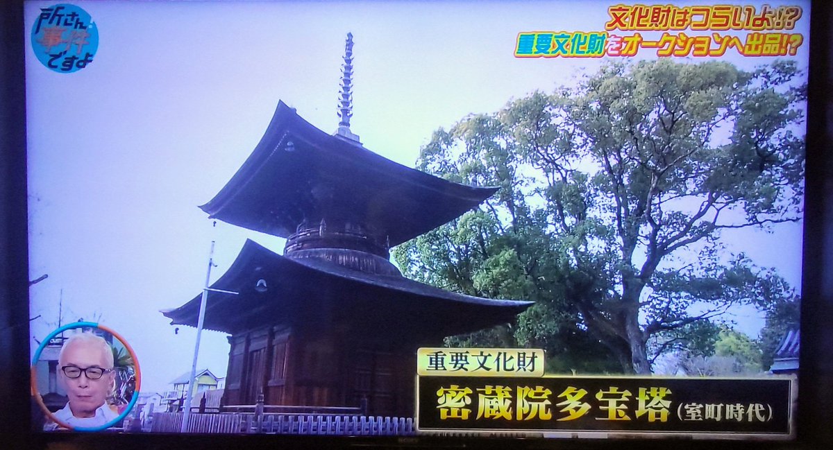 9vbkXWhFWqqhkSz's tweet image. NHKの所さん！事件ですよの録画したのを視聴したけど、愛知県密蔵院のご住職も出てきて、多宝塔の売却の件の話しでヤバい事言ってた…