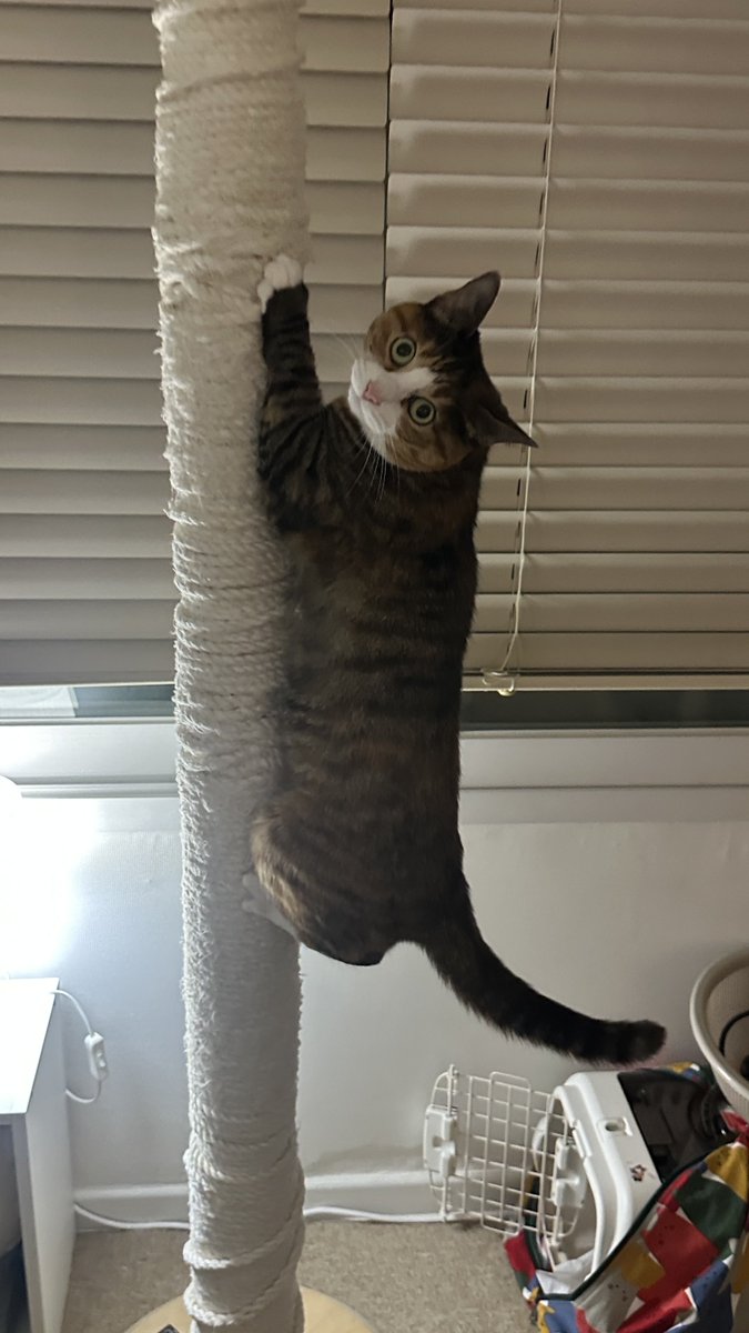 v2soo2's tweet image.