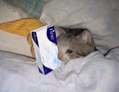 جاني انهيار من التجهيز لحفل التخرج، مافيه شيء عاجبني 🥲.