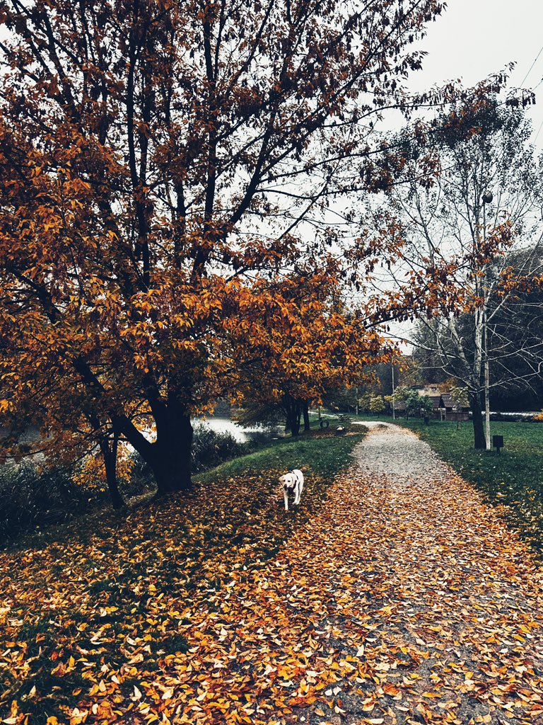 ти диви яка tweet media