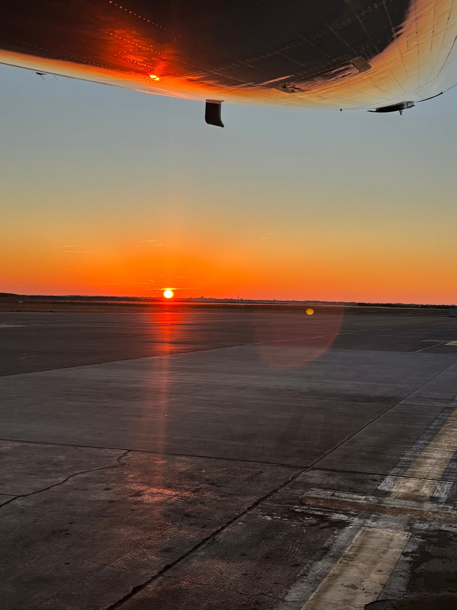 F.✈️⭐️ tweet media