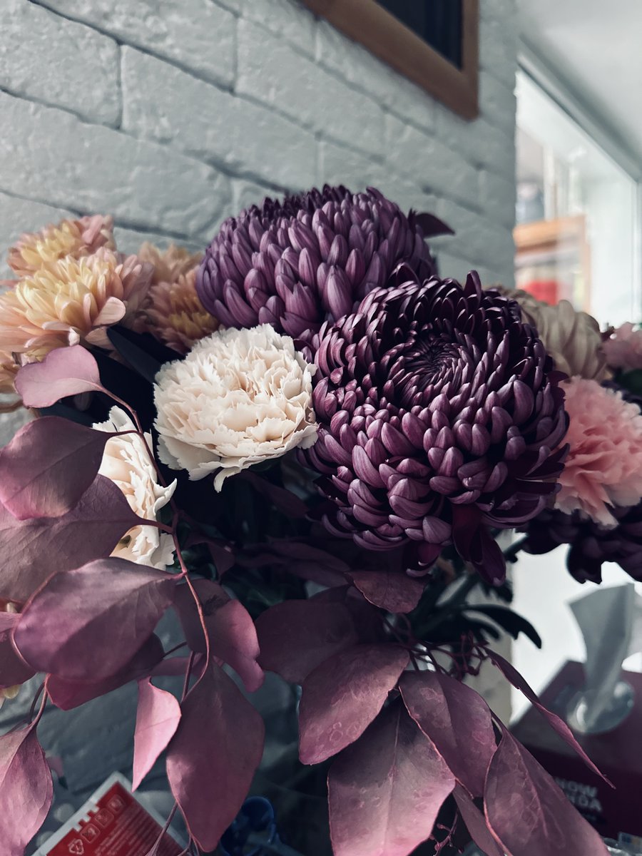 Кішка Шредінгера tweet media