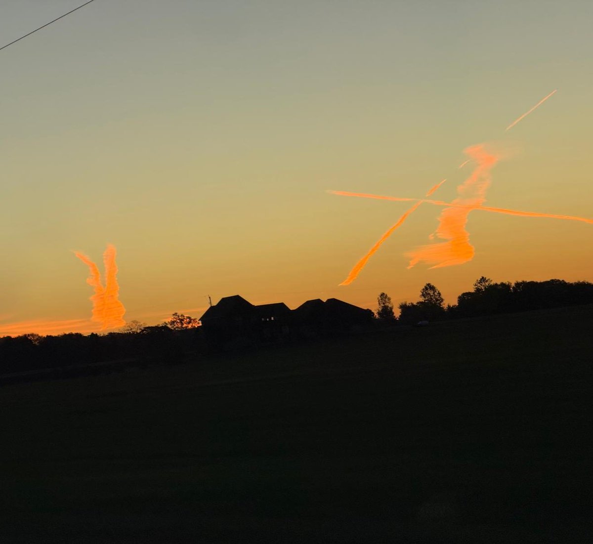 On the left I can see the head of a hare. What could be on the right?