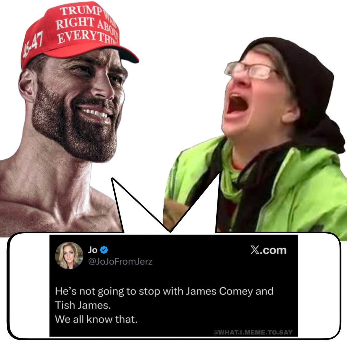what.i.meme.to.say (@whatimemetosay) on Twitter photo 