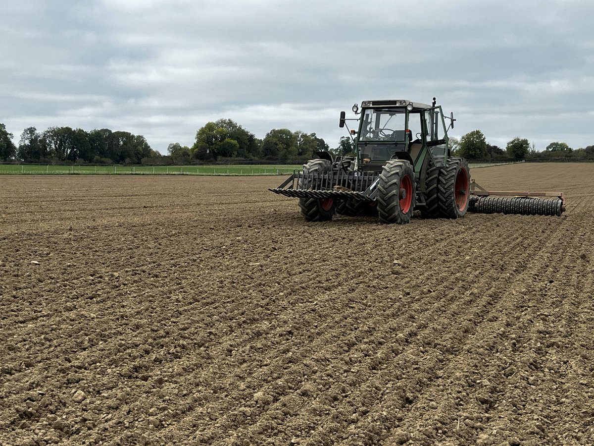 William Hutchinson. tweet media