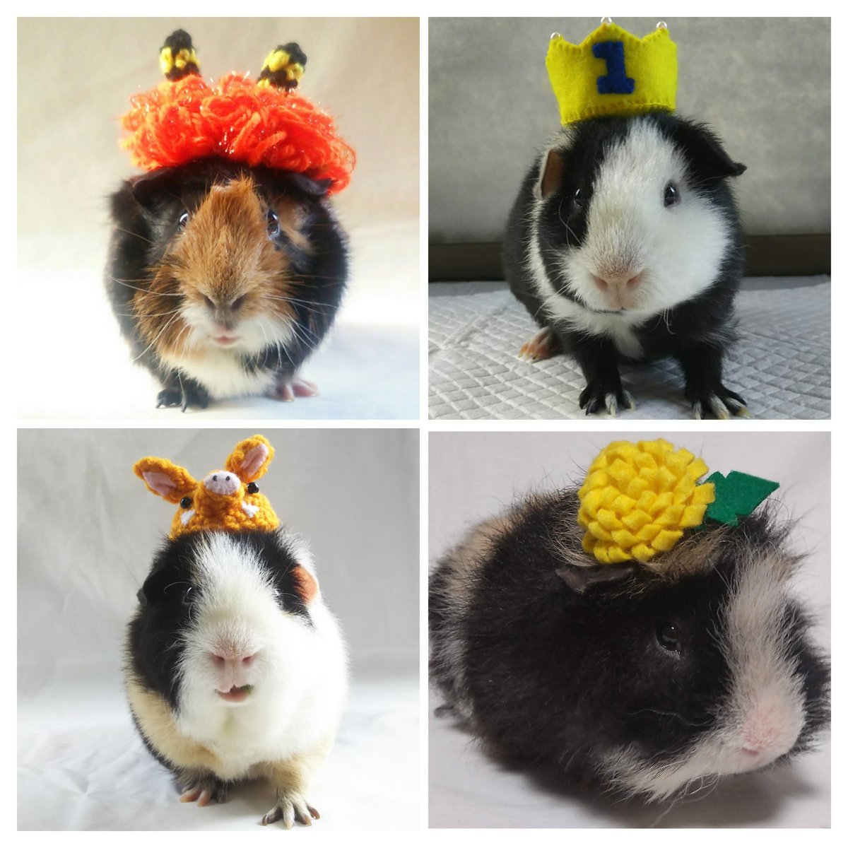 【y꙳★*゜購入前に一言お願いします！】ハンドメイド 5/4 めめ🌻 on X: 