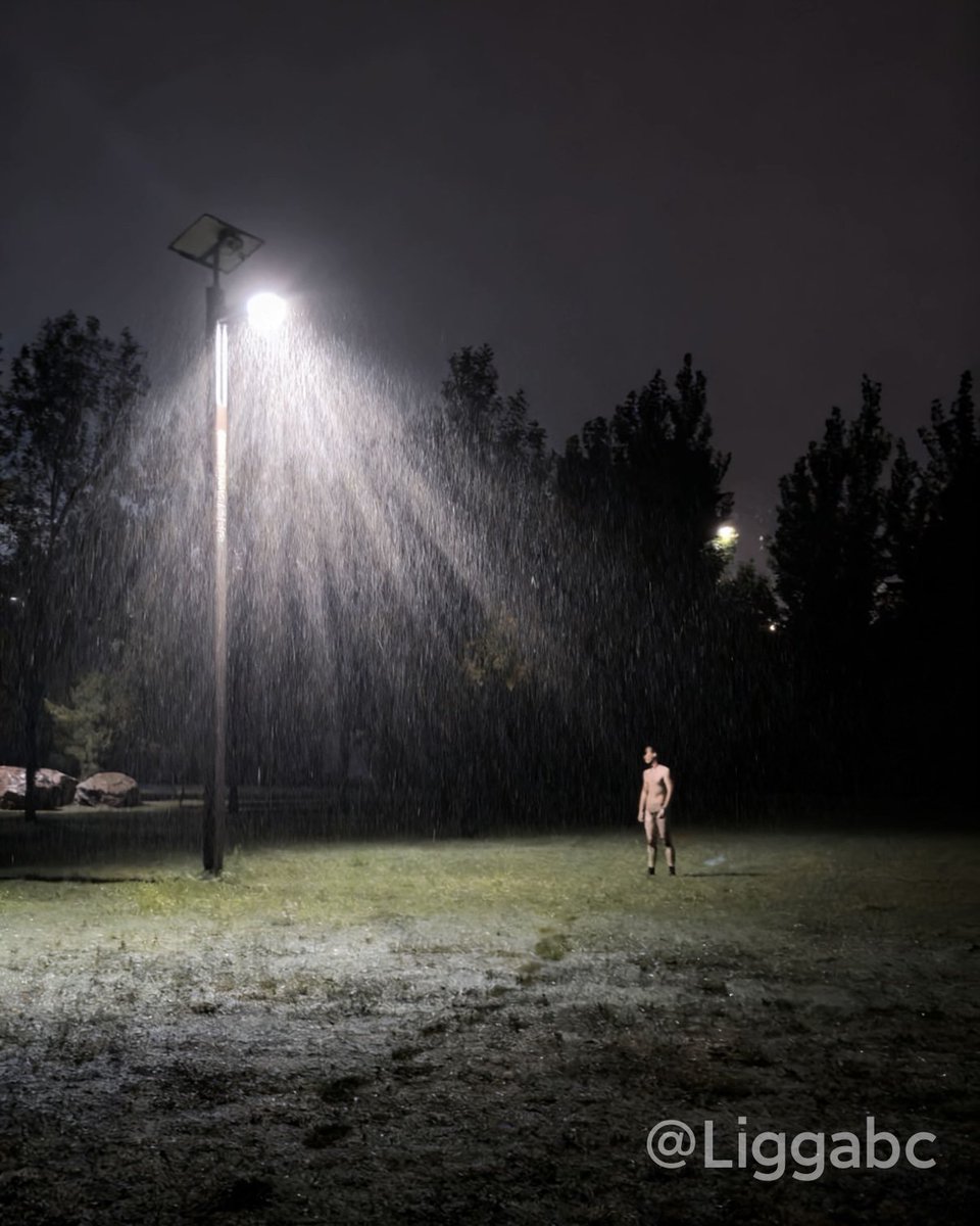 乐一力 tweet media