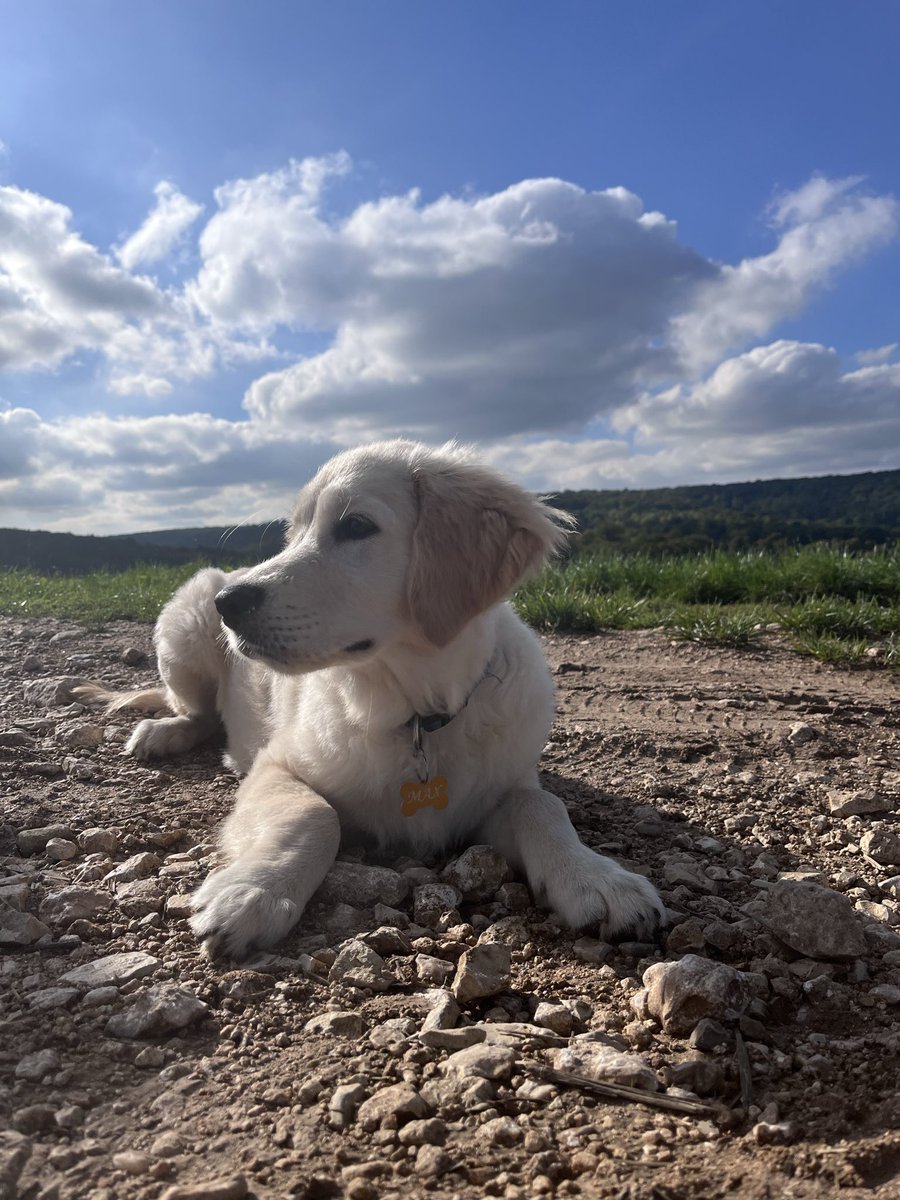 Petit Update du petit Max