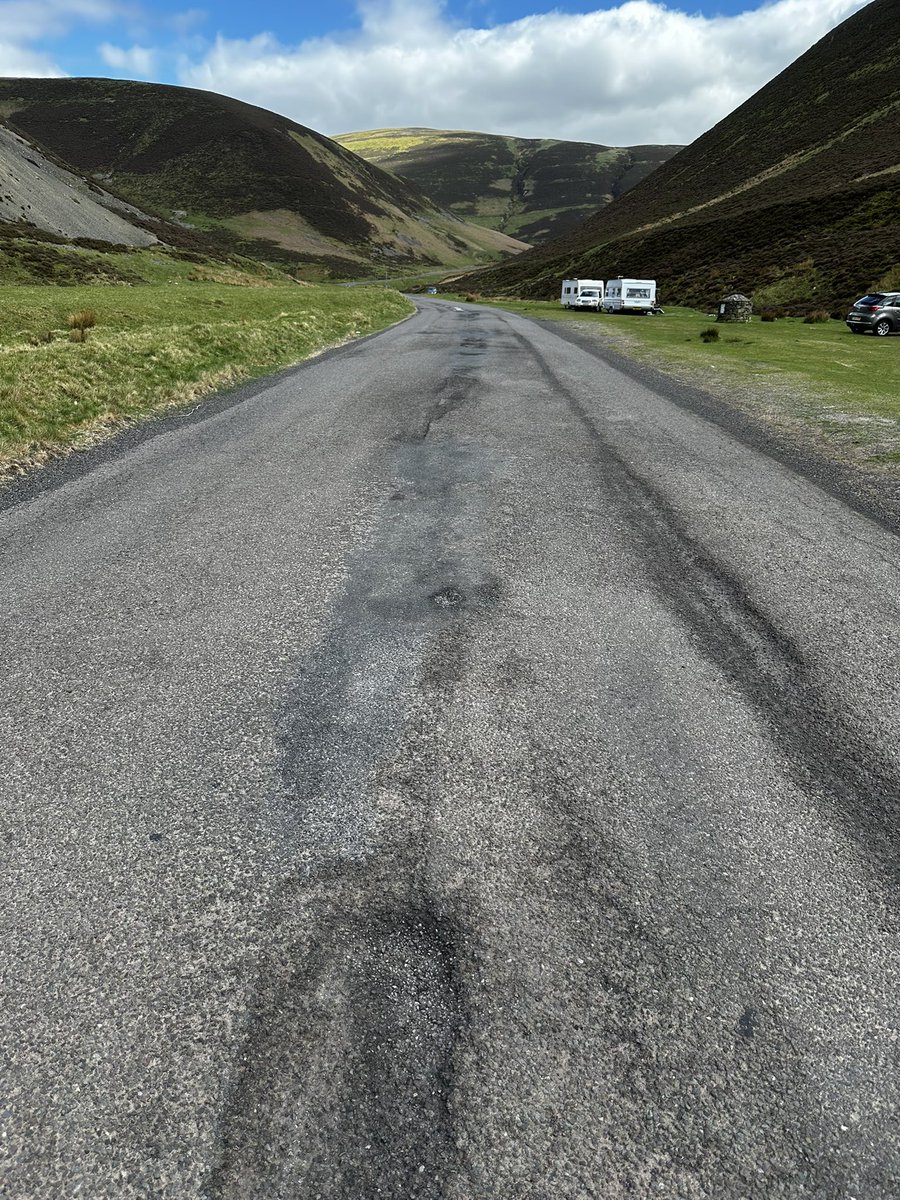 Paris Greiner tweet media